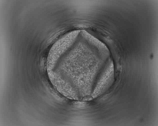 X0000116010428200912101346