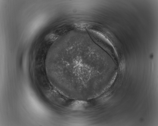 X0000116010429200912101346