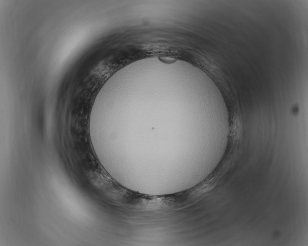 X0000116010430200912101346