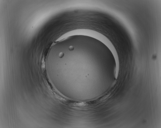 X0000116010431200912101346