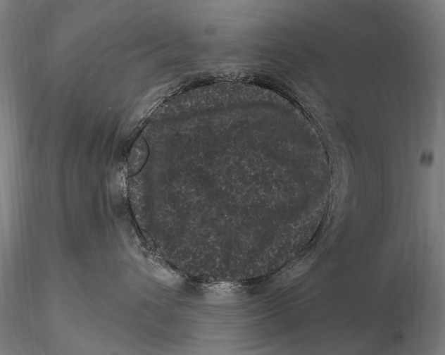 X0000116010432200912101346