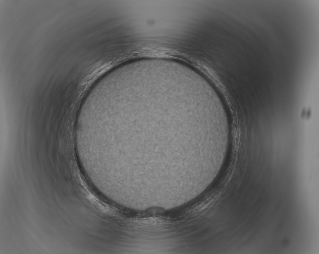 X0000116010433200912101345