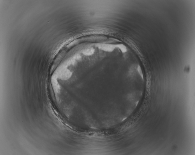 X0000116010434200912101345