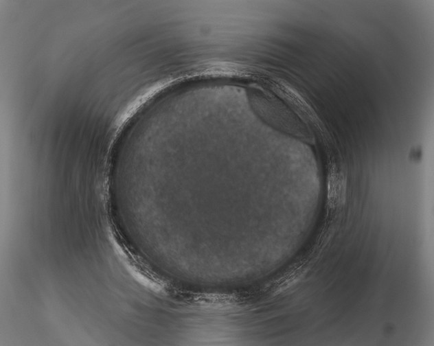 X0000116010436200912101345