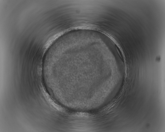 X0000116010437200912101345