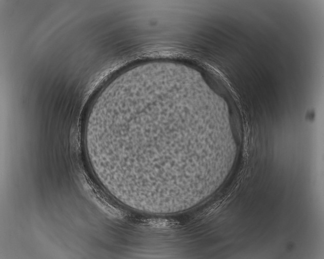 X0000116010439200912101345