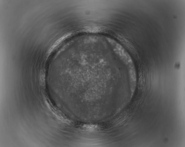 X0000116010440200912101345