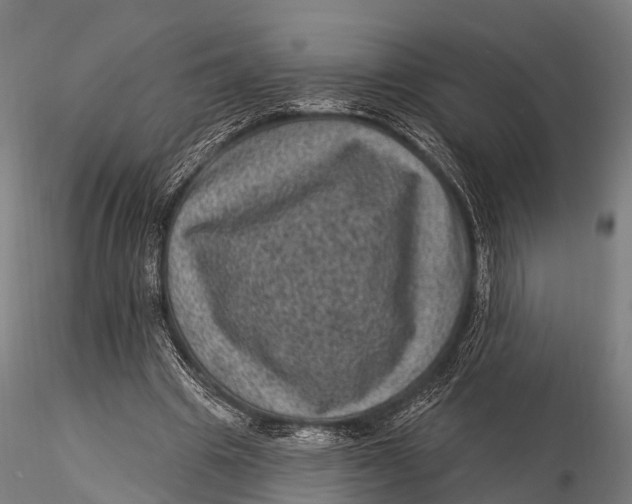 X0000116010441200912101345