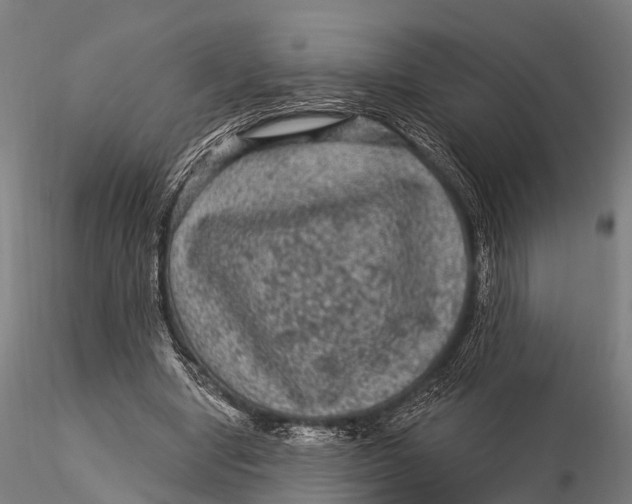 X0000116010442200912101345