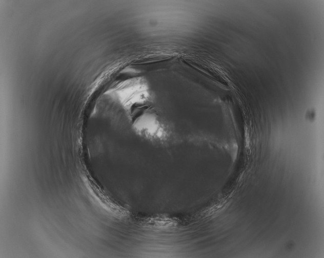 X0000116010443200912101345