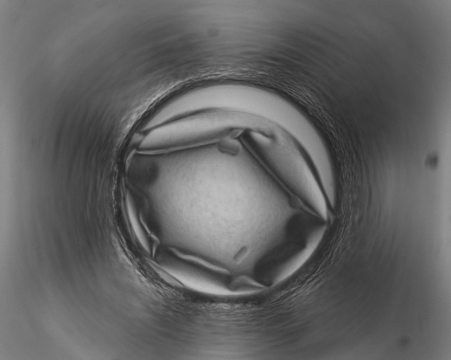 X0000116010444200912101345