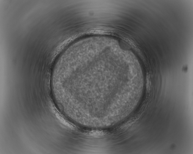 X0000116010445200912101345