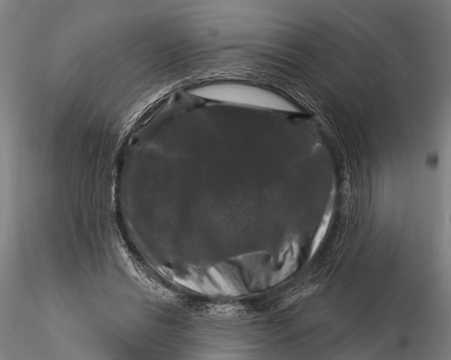 X0000116010446200912101345