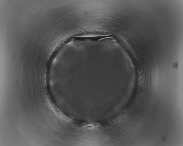 X0000116010447200912101345