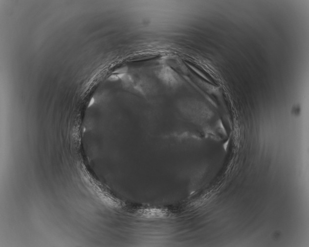 X0000116010449200912101345