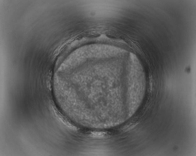 X0000116010450200912101345