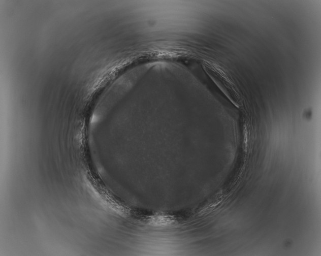 X0000116010451200912101345