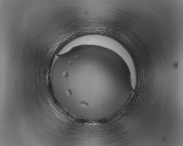 X0000116010452200912101345