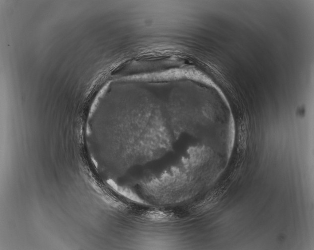 X0000116010453200912101345