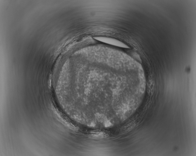 X0000116010454200912101345