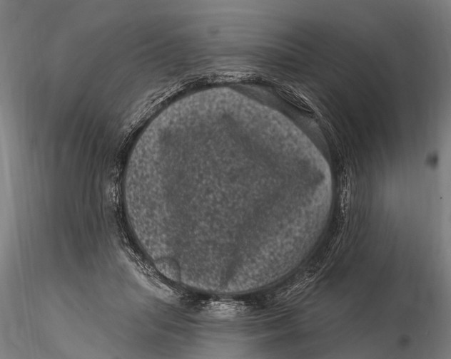 X0000116010455200912101345