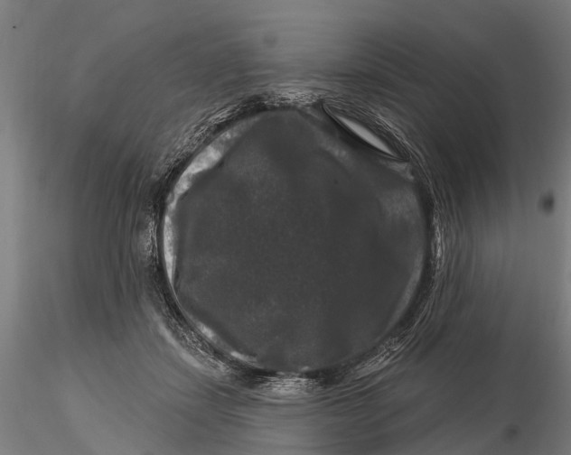 X0000116010459200912101345