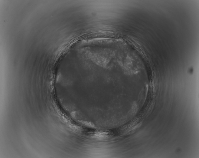 X0000116010462200912101345