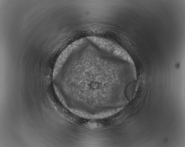 X0000116010464200912101345