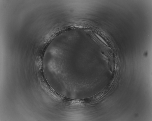 X0000116010465200912101345