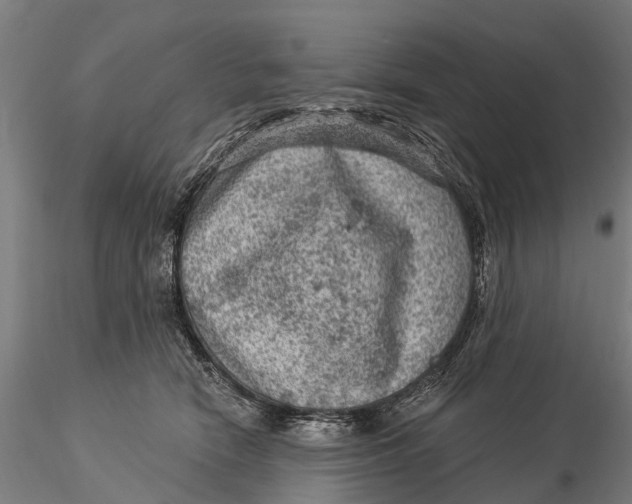 X0000116010466200912101345