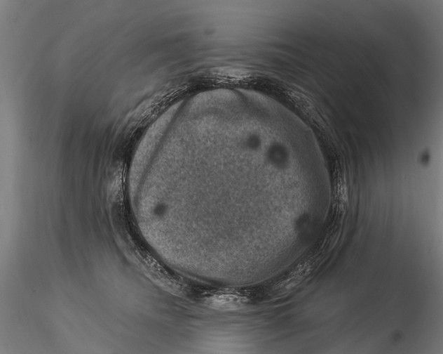 X0000116010468200912101345