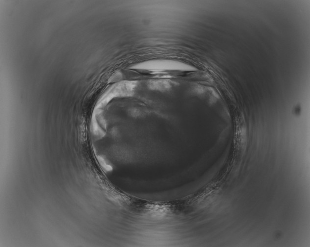 X0000116010469200912101345