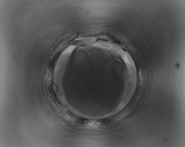 X0000116010471200912101345