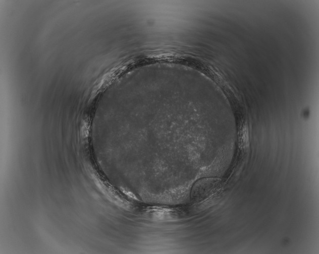 X0000116010472200912101345