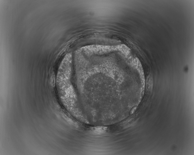 X0000116010474200912101345