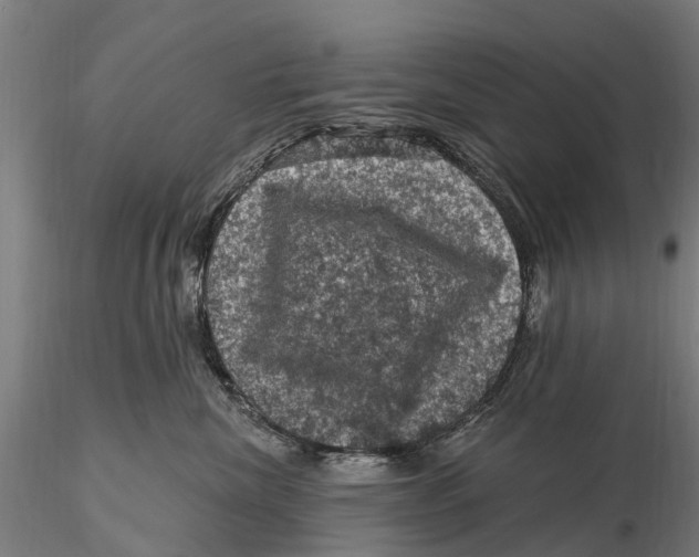 X0000116010476200912101346