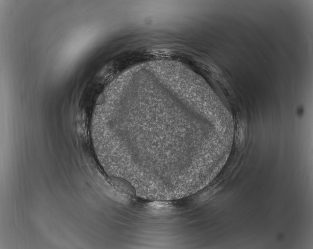 X0000116010477200912101346