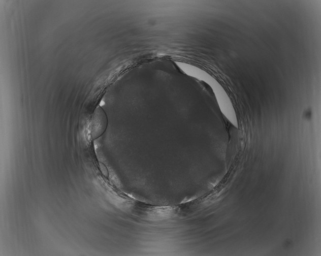 X0000116010479200912101346