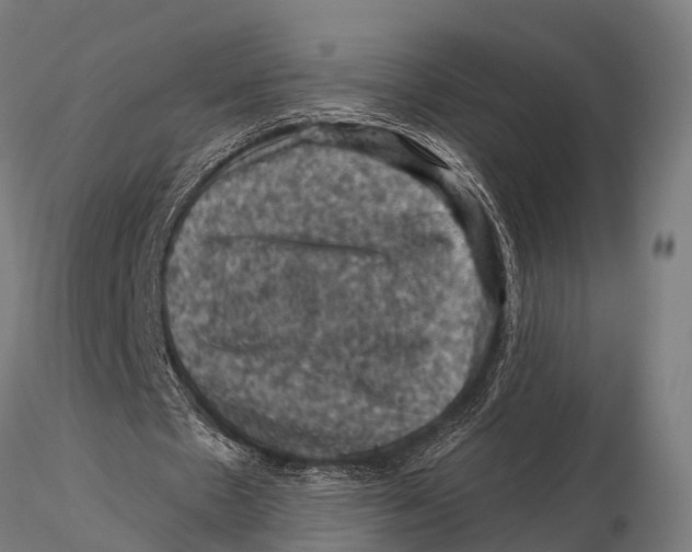 X0000116010481200912101345