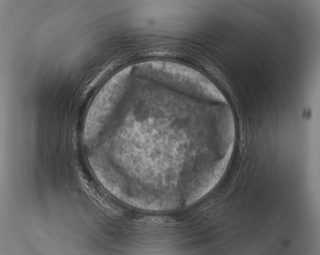 X0000116010482200912101345