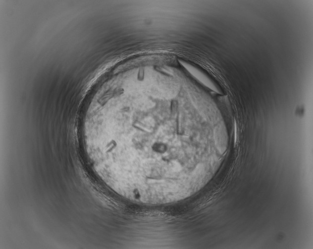 X0000116010483200912101345