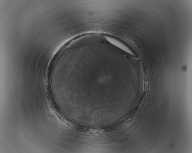 X0000116010484200912101345