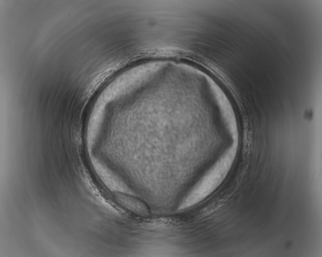 X0000116010485200912101345