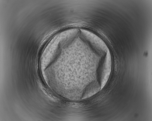 X0000116010486200912101345