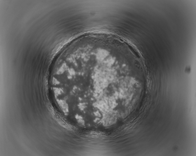 X0000116010487200912101345