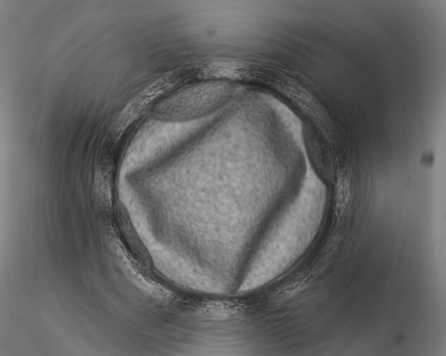 X0000116010489200912101345