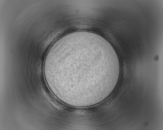 X0000116010490200912101345