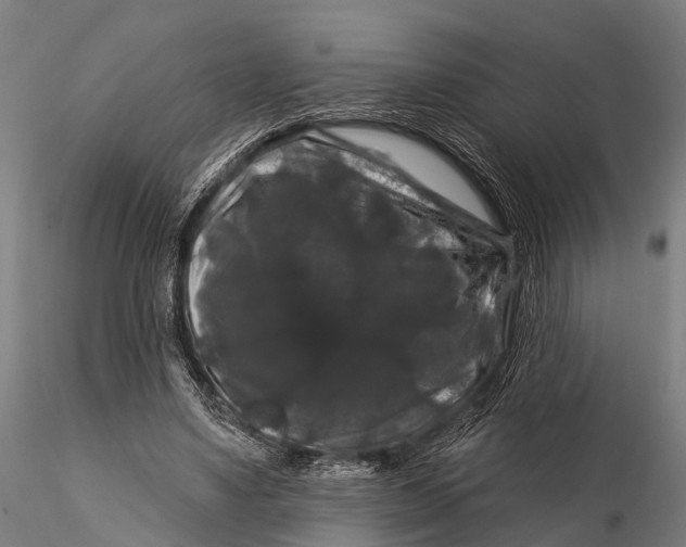 X0000116010491200912101345