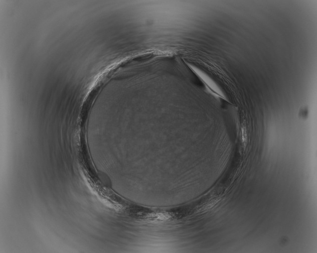 X0000116010492200912101345