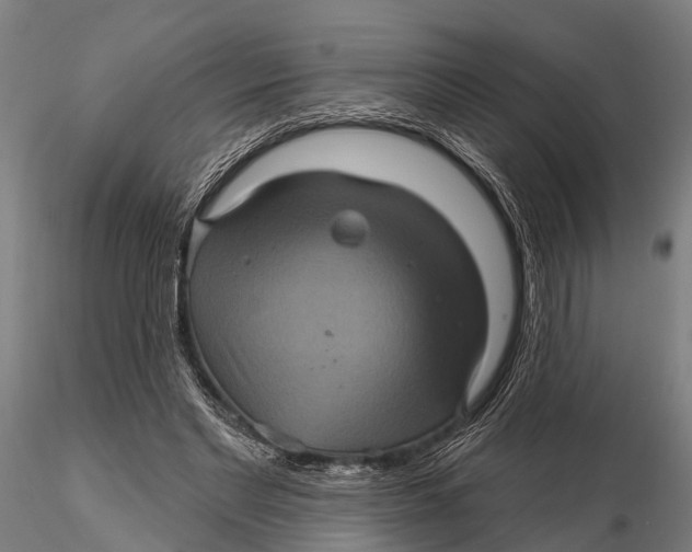 X0000116010493200912101345